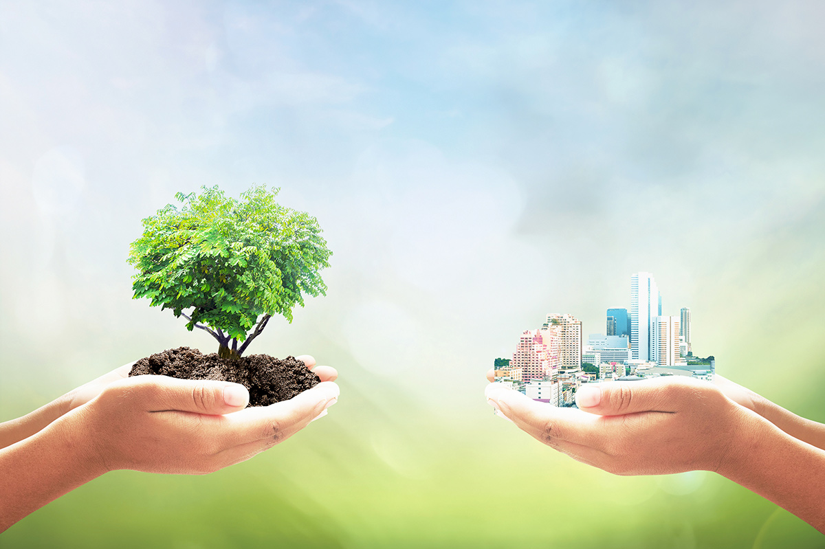 Two human hands holding tree and city over blurred nature background