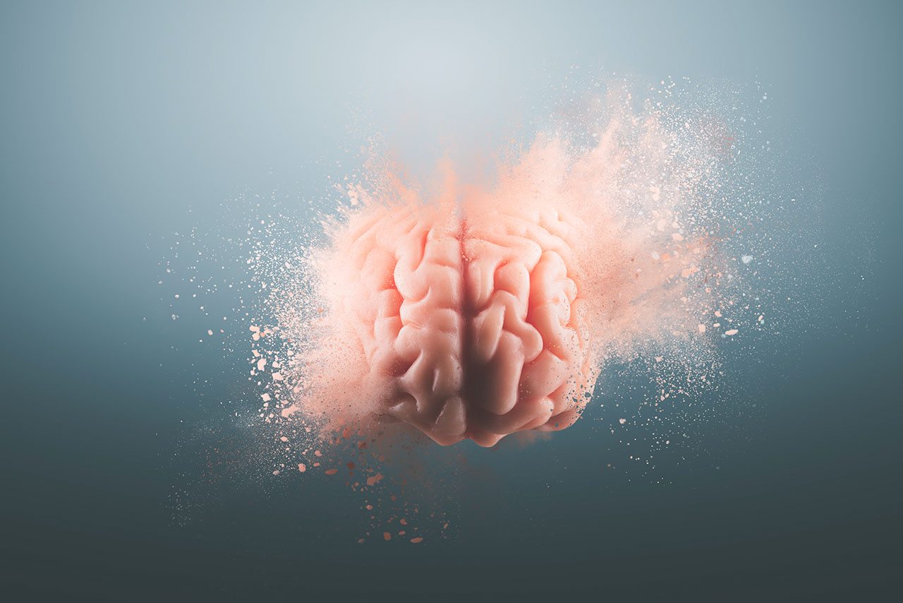 Human brain on a gray background, ©fergregory / Adobe Stock