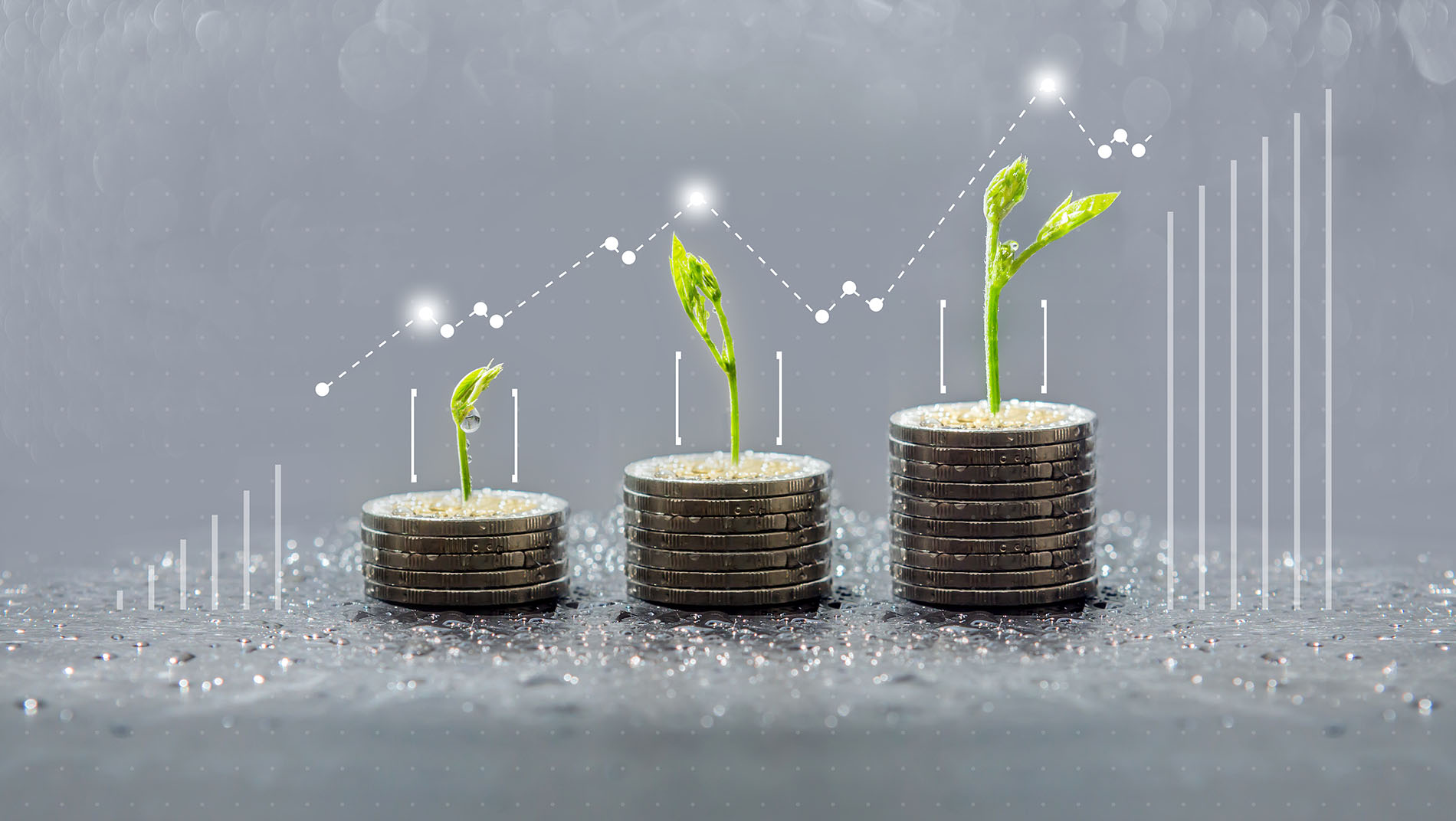 Trees growing on coins, sustainable finance