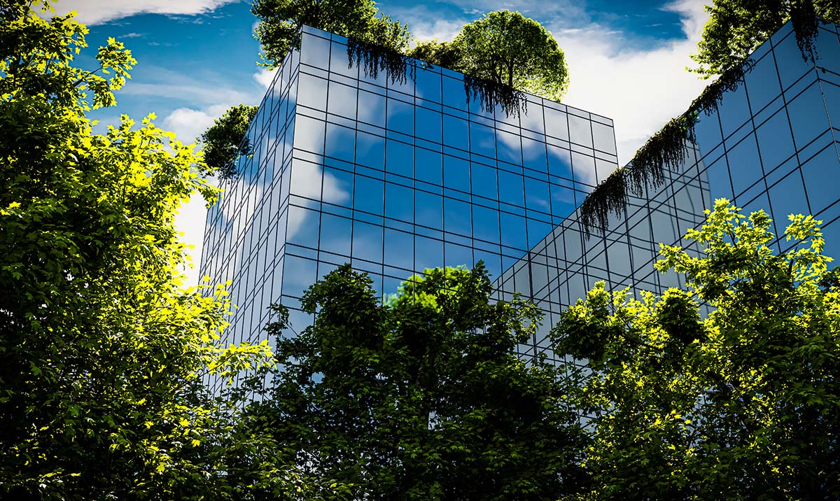 A modern eco-friendly office building in green forests