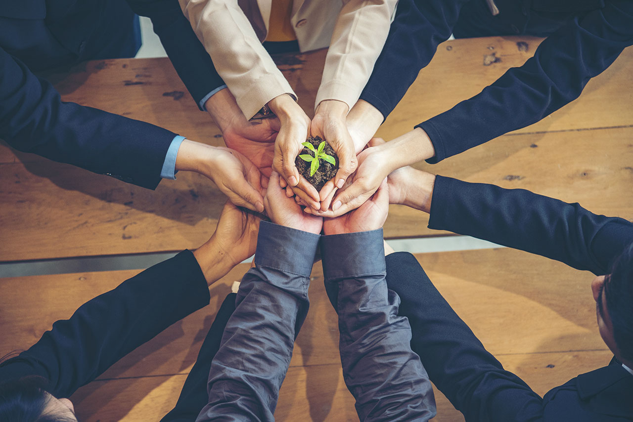 Green Business Meeting. United Partners Team with hands together, ©howtogoto / Adobe Stock