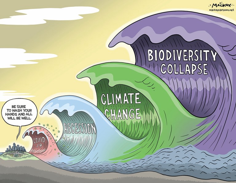 City with large, destructive waves approaching: Covid-19, Recession, Climate Change and Biodiversity Collapse