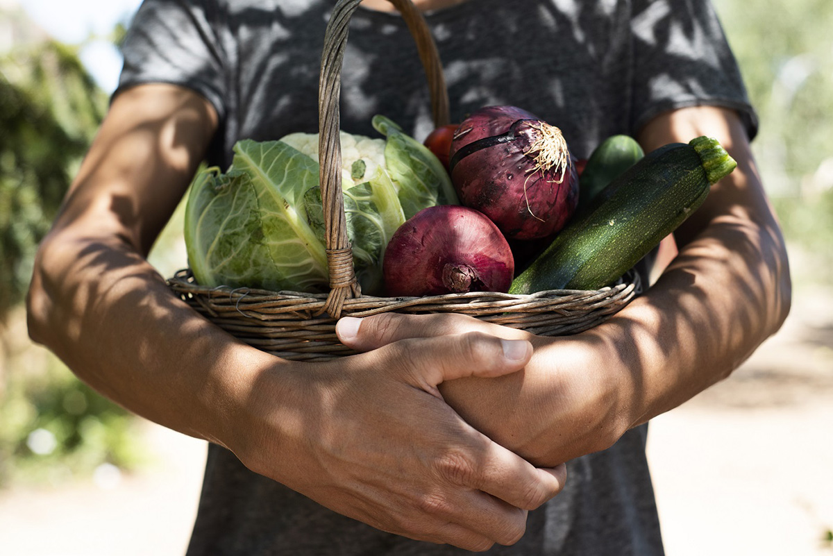 Photo of a person holding a basket of vegetables