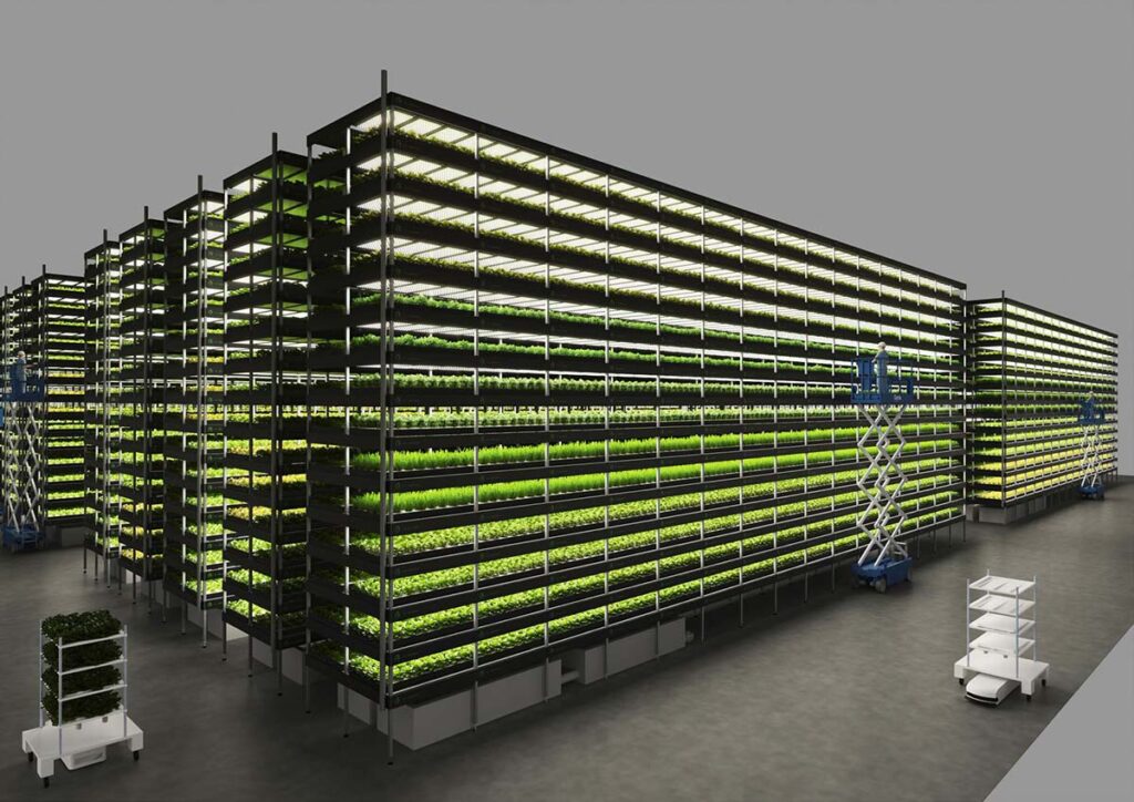 We met the founder of Europe&#39;s largest vertical farm - The Choice by ESCP