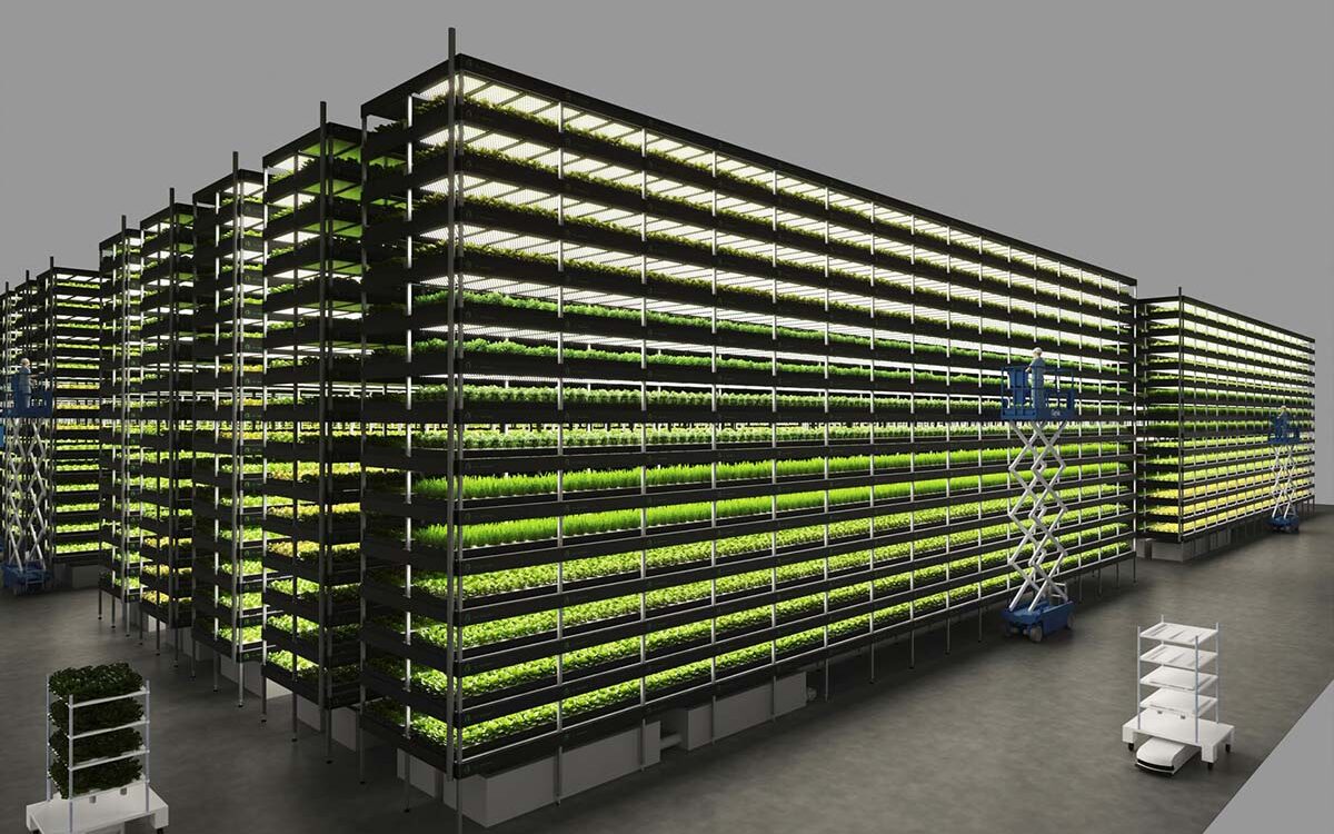 We Met The Founder Of Europe's Largest Vertical Farm - The Choice By ESCP