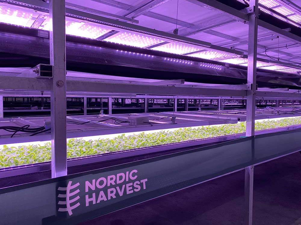 Photo of Nordic Harvest's salad growing vertical farm.