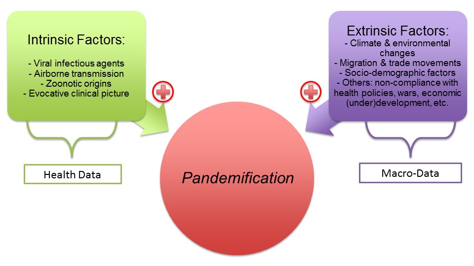 An overview of the pandemification process