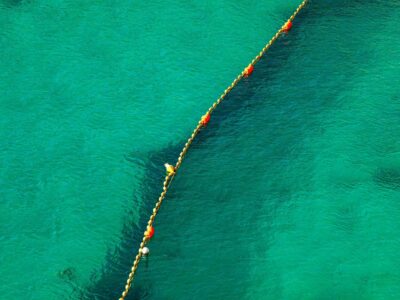 A line of bouys divides a bright green body of water