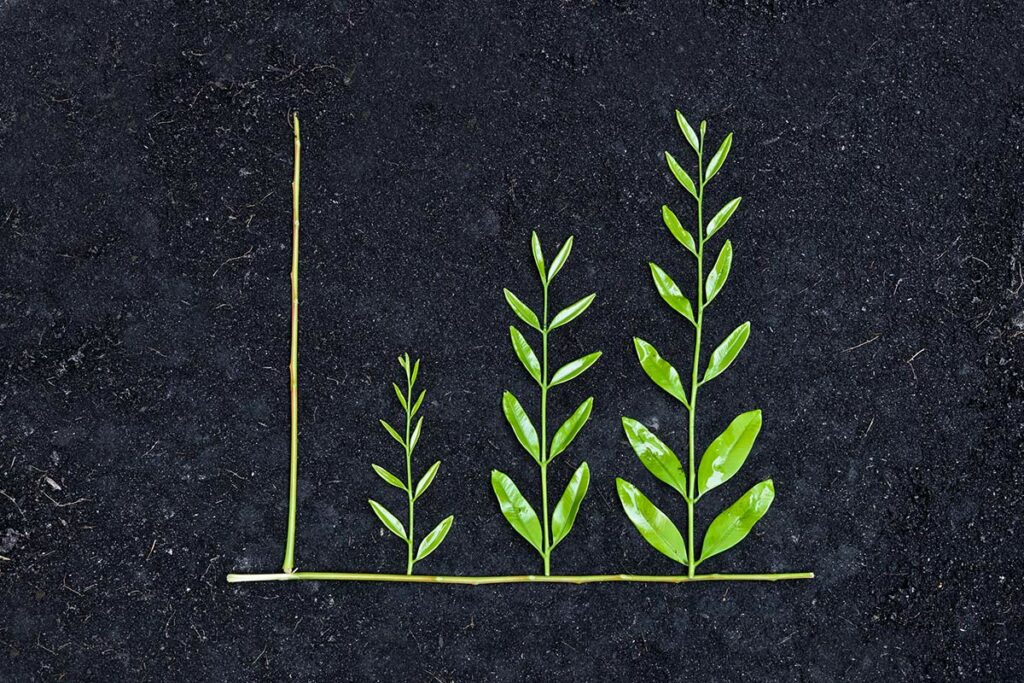 Tree arranged as a green graph on soil
